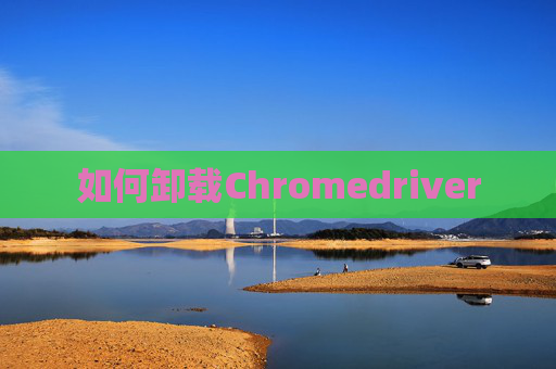 如何卸载Chromedriver